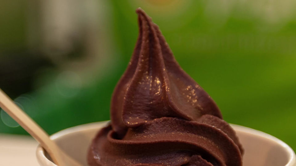 YOGOBERRY